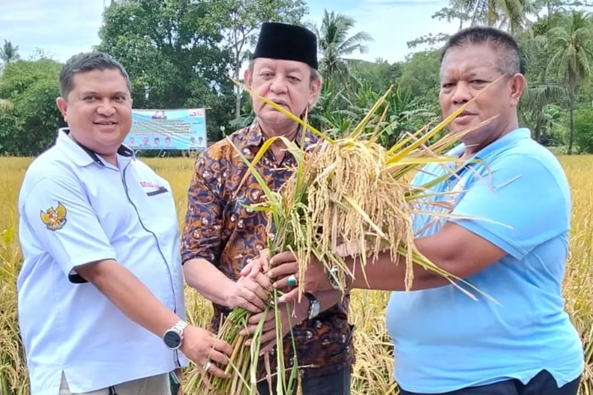 Sinergi Petani 2